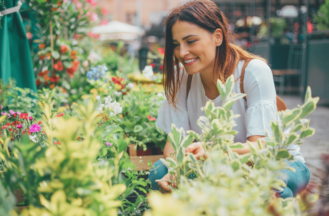 Floral Trends for 2026 That Will Shape Colors, Styles, and Consumer Habits