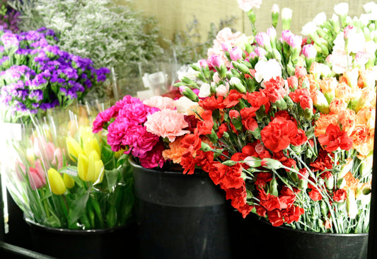 How to Keep Holiday Flowers Fresh and Beautiful