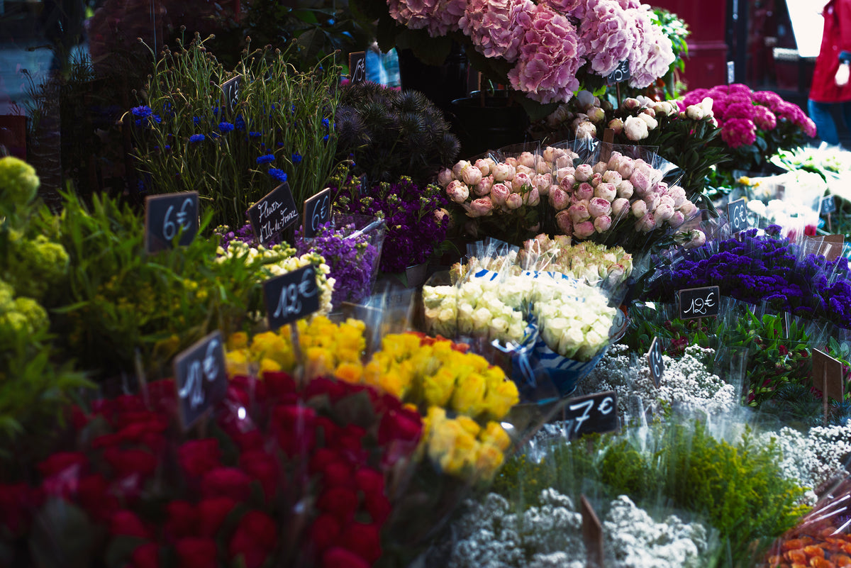 FAQs – Floral Merchandising Systems